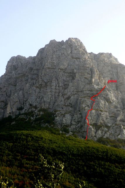 Le placche giallastre finali