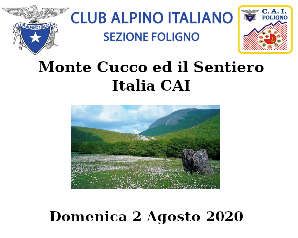 Domenica 2 Agosto 2020