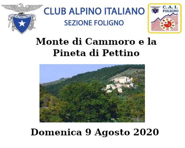 Domenica 9 Agosto 2020