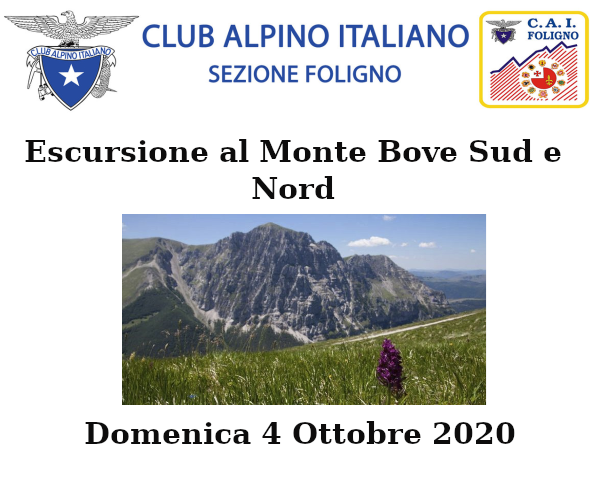 Domenica 4 Ottobre 2020
