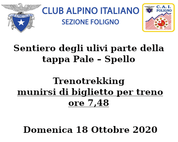 Domenica 18 Ottobre 2020