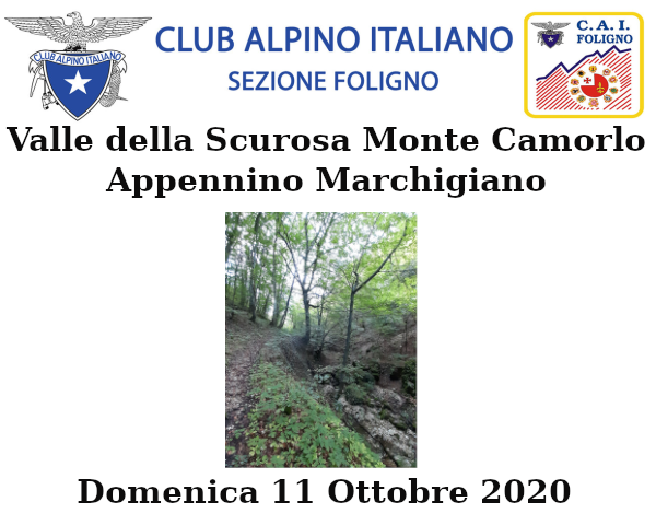 Domenica 11 Ottobre 2020