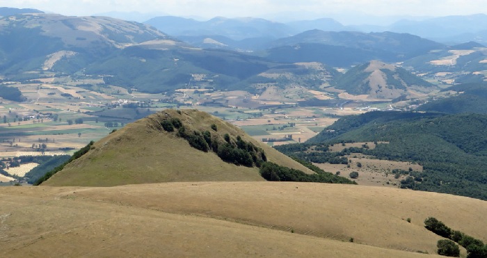 MATTUTINO DOMENICA 04 LUGLIO 2021