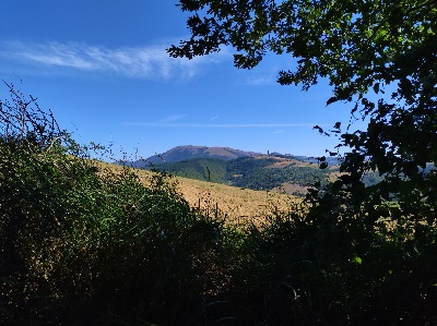 26 settembre 2021 mattutino